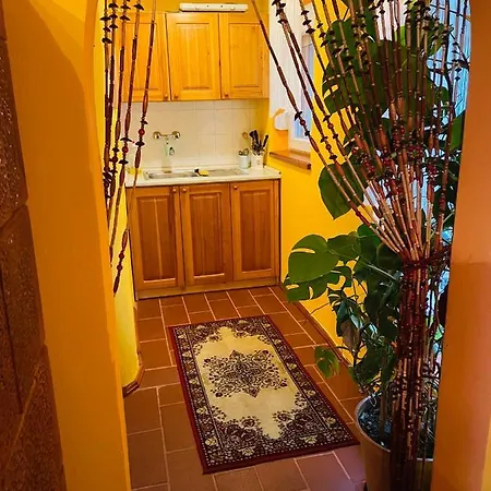 Noe Barkaja Vendeghaz