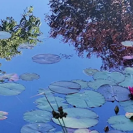 Διαμέρισμα Noe Barkaja Vendeghaz Nagyrákos